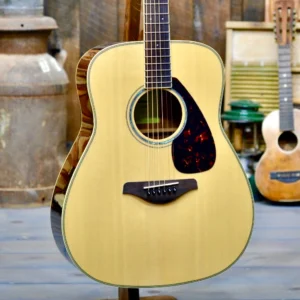Premium Acoustic FG830 Style